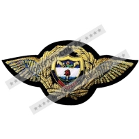 Wing Badges